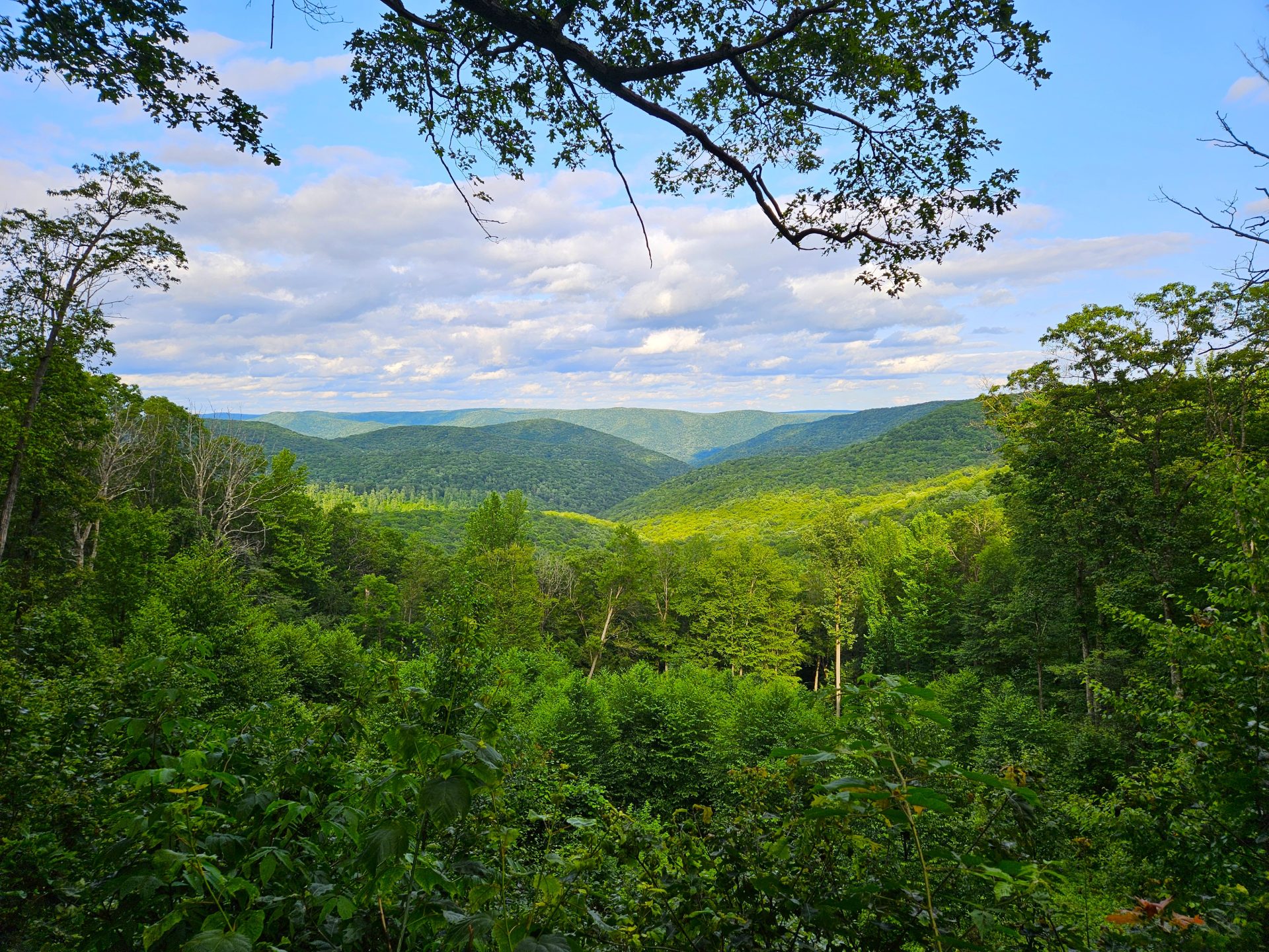 Explorer Ridge Pnw Ridge Road Drive: How to See Pennsylvania’s Wilds from Above